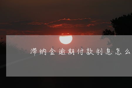 滞纳金逾期付款利息怎么算 滞纳金逾期付款利息怎么算