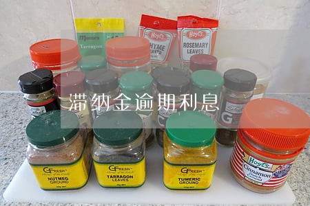滞纳金逾期利息 滞纳金逾期利息