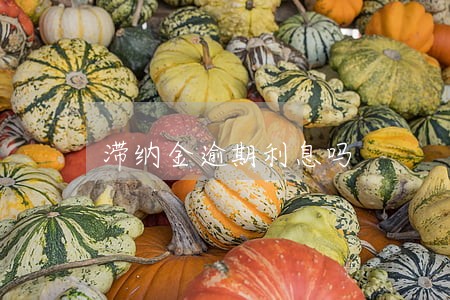 滞纳金逾期利息吗 滞纳金逾期利息吗