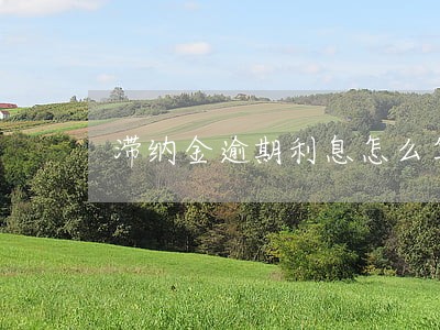 滞纳金逾期利息怎么算 滞纳金逾期利息怎么算