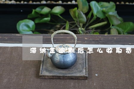 滞纳金逾期后怎么收取费用的