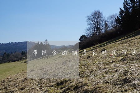 滞纳金逾期多长时间可以借款 滞纳金逾期多长时间可以借款