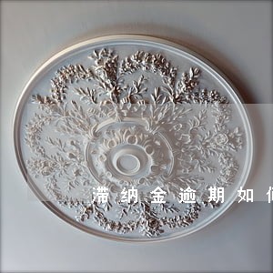 滞纳金逾期如何处理 滞纳金逾期如何处理