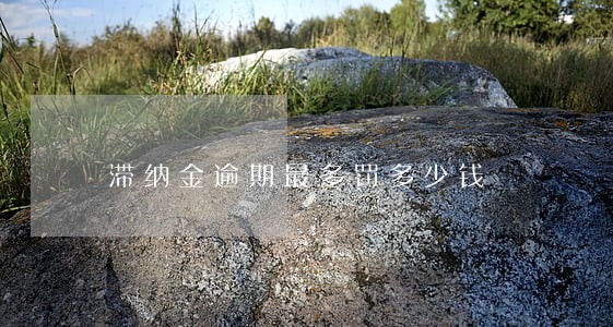 滞纳金逾期最多罚多少钱 滞纳金逾期最多罚多少钱