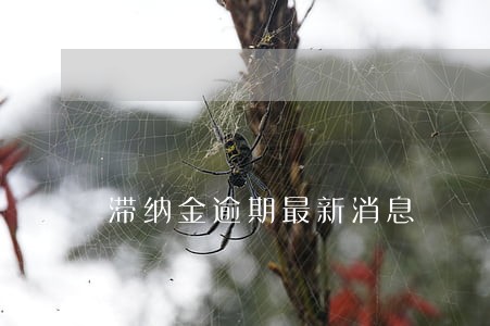 滞纳金逾期最新消息 滞纳金逾期最新消息