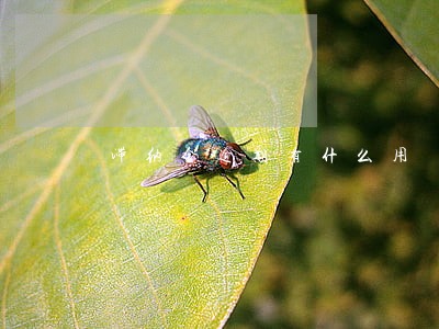 滞纳金逾期有什么用 滞纳金逾期有什么用