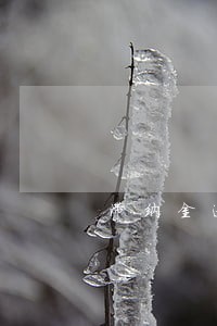 滞纳金逾期未缴纳的 滞纳金逾期未缴纳的