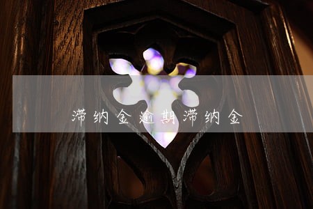 滞纳金逾期滞纳金 滞纳金逾期滞纳金