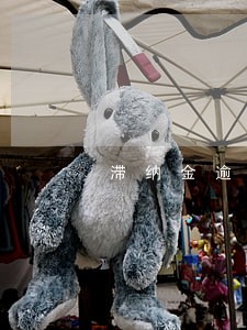 滞纳金逾期纳税 滞纳金逾期纳税