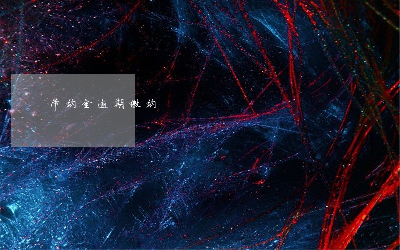 滞纳金逾期缴纳 滞纳金逾期缴纳