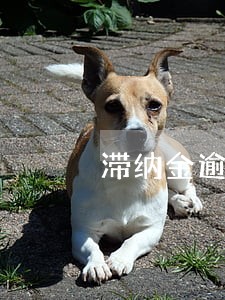 滞纳金逾期费跟利息有什么区别