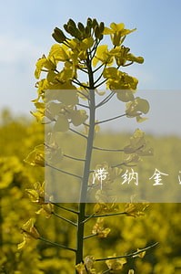 滞纳金逾期起止计算
