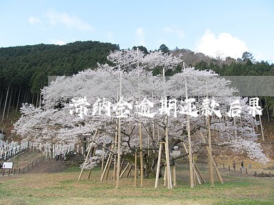滞纳金逾期还款后果 滞纳金逾期还款后果