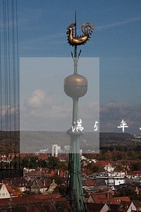 满5年征信逾期会消除吗 满5年征信逾期会消除吗