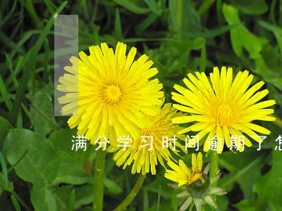 满分学习时间逾期了怎么办