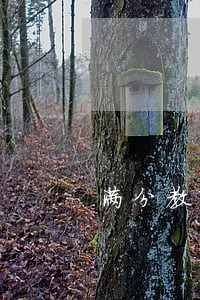 满分教育逾期一年 满分教育逾期一年