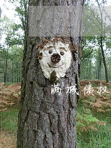 满城债权债务律师 满城债权债务律师