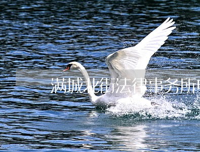 满城北街法律事务所电话 满城北街法律事务所电话