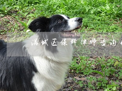 满城区保释律师咨询电话 满城区保释律师咨询电话