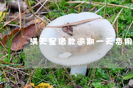 满天星借款逾期一天费用是多少 满天星借款逾期一天费用是多少