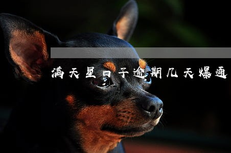 满天星口子逾期几天爆通讯录 满天星口子逾期几天爆通讯录