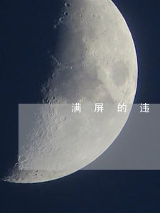 满屏的违法 满屏的违法