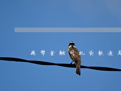 满帮金融司机贷款逾期 满帮金融司机贷款逾期