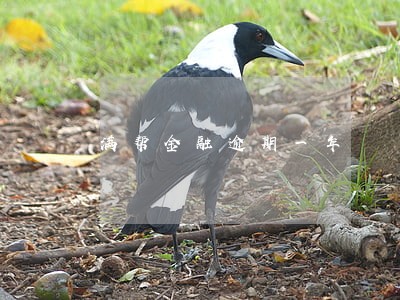 满帮金融逾期一年 满帮金融逾期一年