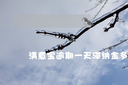满意宝逾期一天滞纳金多少 满意宝逾期一天滞纳金多少