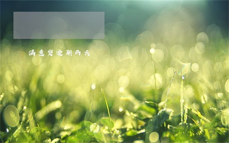 满意贷逾期两天