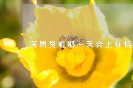 满易贷逾期一天会上征信 满易贷逾期一天会上征信
