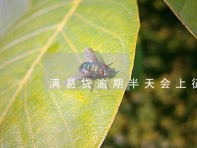 满易贷逾期半天会上征信吗 满易贷逾期半天会上征信吗