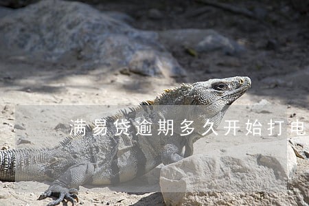 满易贷逾期多久开始打电话