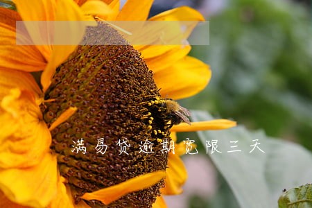 满易贷逾期宽限三天 满易贷逾期宽限三天