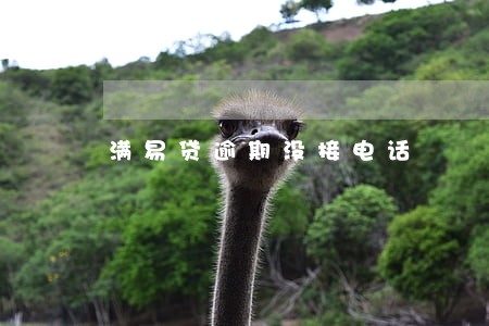满易贷逾期没接电话 满易贷逾期没接电话