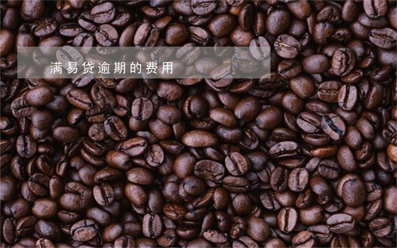 满易贷逾期的费用 满易贷逾期的费用