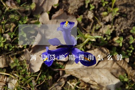 满易贷逾期费用怎么算 满易贷逾期费用怎么算