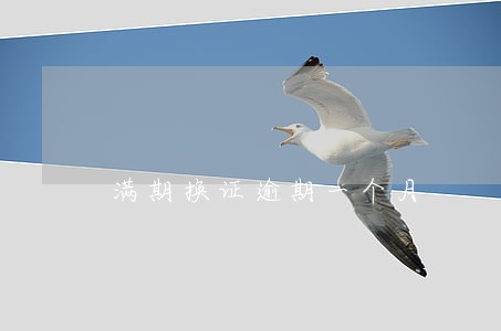 满期换证逾期一个月