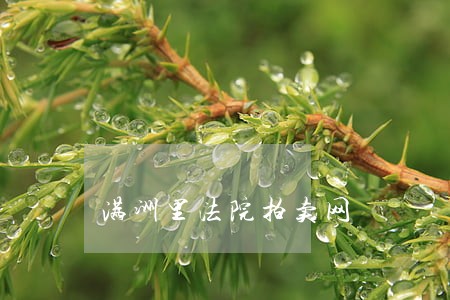 满洲里法院拍卖网 满洲里法院拍卖网