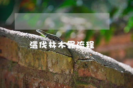 滥伐林木罪流程 滥伐林木罪流程