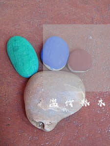 滥伐林木罪认定 滥伐林木罪认定