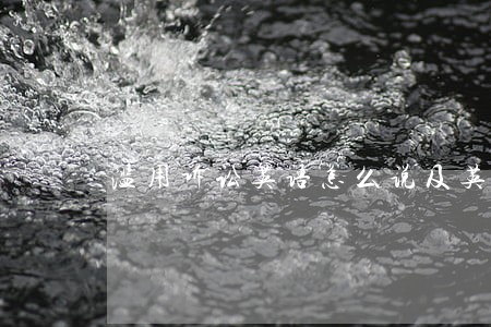 滥用诉讼英语怎么说及英语单词 滥用诉讼英语怎么说及英语单词