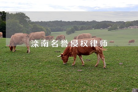 滦南名誉侵权律师 滦南名誉侵权律师