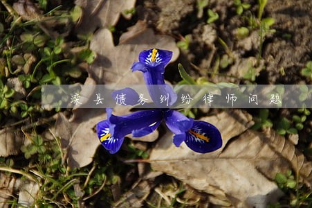 滦县债务纠纷律师问题 滦县债务纠纷律师问题