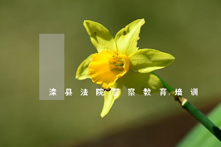 滦县法院警察教育培训