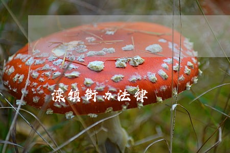 滦镇街办法律