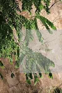 滨城区司法局刘新琪