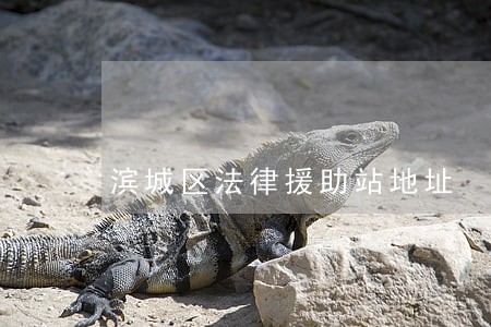 滨城区法律援助站地址 滨城区法律援助站地址