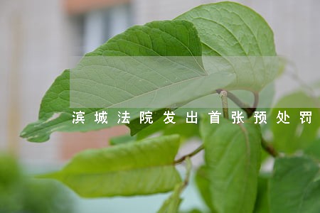 滨城法院发出首张预处罚通知书 滨城法院发出首张预处罚通知书