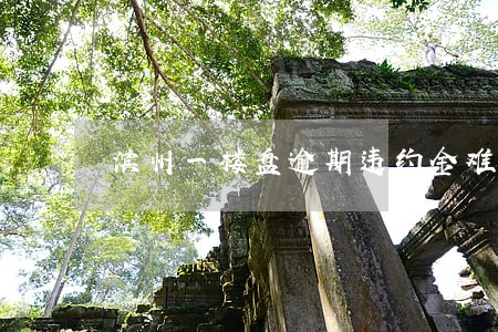 滨州一楼盘逾期违约金难讨要 滨州一楼盘逾期违约金难讨要